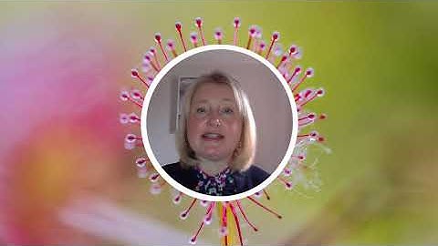 GDPR and data privacy | Managing Investigations video series - Episode #7