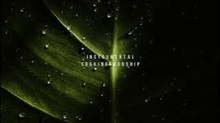 GROUNDED IN HIM // Instrumental Worship Soaking in His Presence