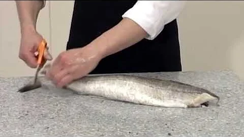 How to steak and fillet a Hake | 206