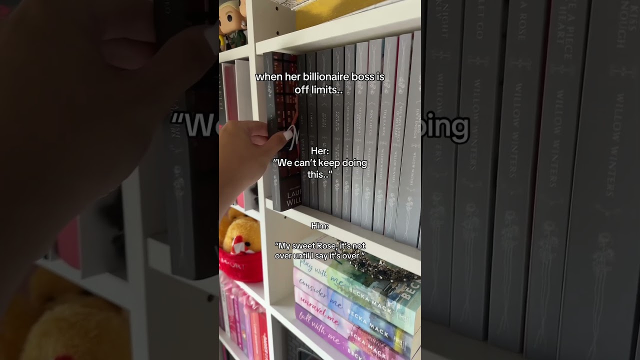 Mr CEO by Willow Winters 