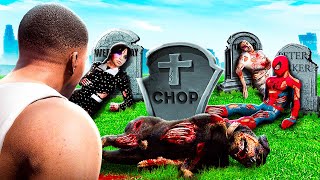 Who KILLED CHOP, WEDNESDAY & SPIDER-MAN In GTA 5?