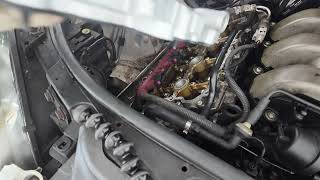 Is Your Audi 3.2L Leaking Oil? How To Fix It Yourself