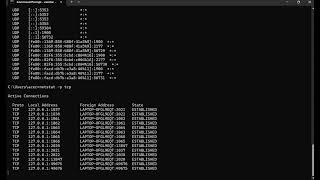 Common Netstat Commands