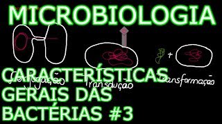 Aula: Microbiologia Médica #6 - Características Gerais das Bactérias #3