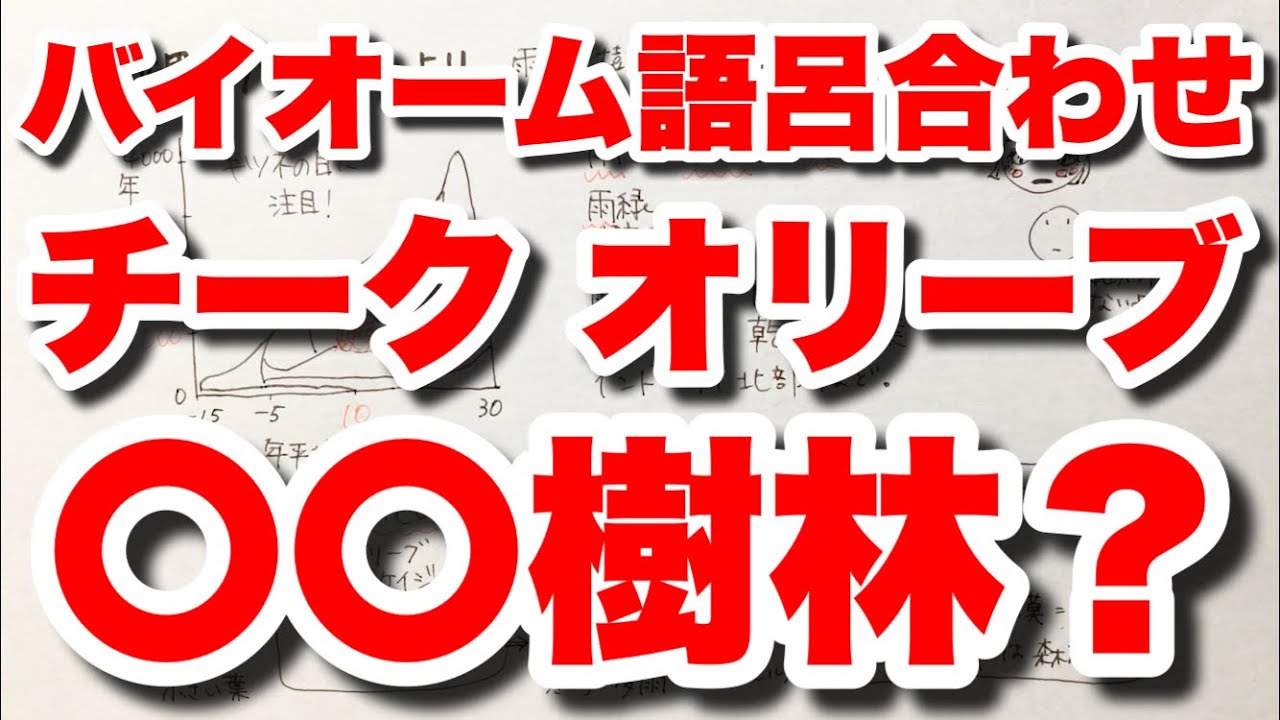 雨緑樹林と硬葉樹林の覚え方 チーク オリーブ ゲッケイジュ コルクガシ バイオーム 語呂合わせ 生態系 ゴロ生物基礎 Youtube