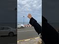 القنفذة القنفذة