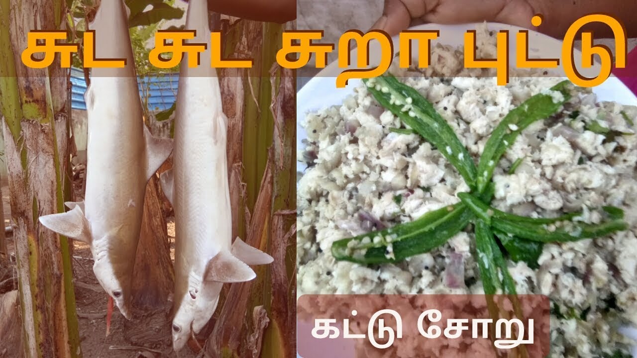 Sura Puttu | How to Make Shark Puttu | Kattu Sooru | Food and Cooking #3