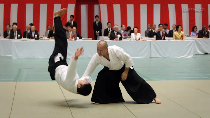 Aikido - Sakurai Hiroyuki Shihan - 55th All Japan Aikido Demonstration 2017