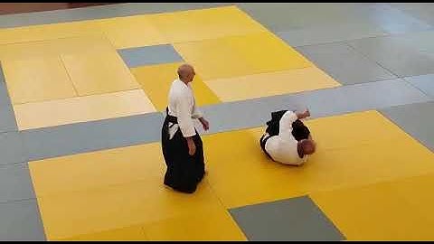 Yokomen uchi Shiho Nage