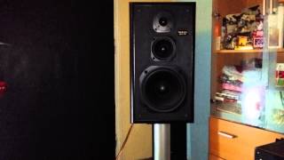 Technics sb-cs95