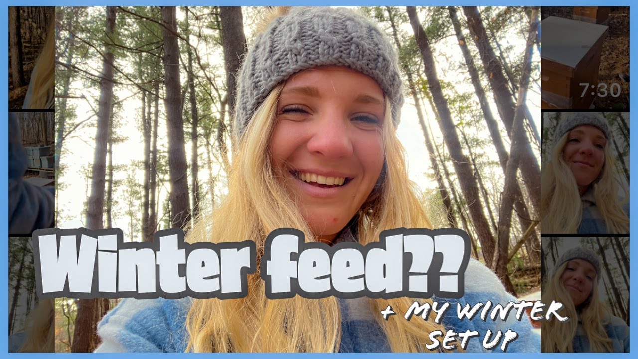 Feeding YOUR BEES In The Winter / Beekeeping 101 
