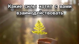 Какие силы хотят с вами взаимодействовать #эзотерика