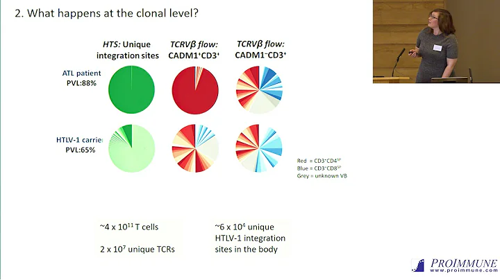 Aileen Rowan: Turnover and transformation of T cel...