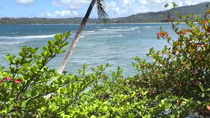 Taking a drive on the North Shore of Kauai I disco...