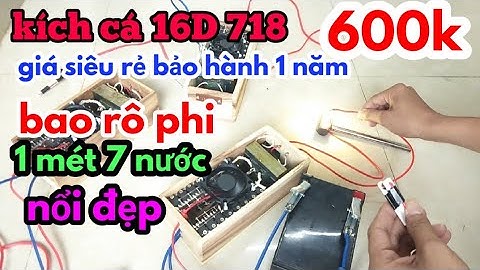 Kích cá 16D 718 bao rô phi lóc lương nổi đẹp giá 600k 0354908023 (thuận Thích chế tạo)
