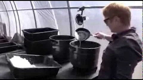 Making Salt From the Ocean