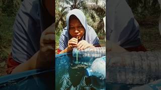 gelembung #shorts #funny #subscribe #trending