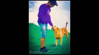 Mera Safar #trending Song 2022@sadakrdxshorts2907 @ManojDey