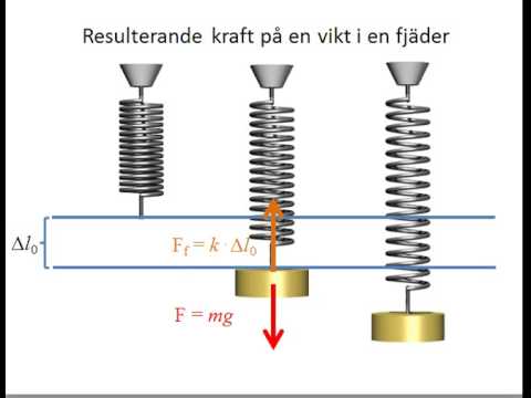 Video: Skillnaden Mellan Dun Och Fjäder