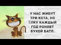 - Серёга, пойдём в сауну? Прикольный анекдот дня!