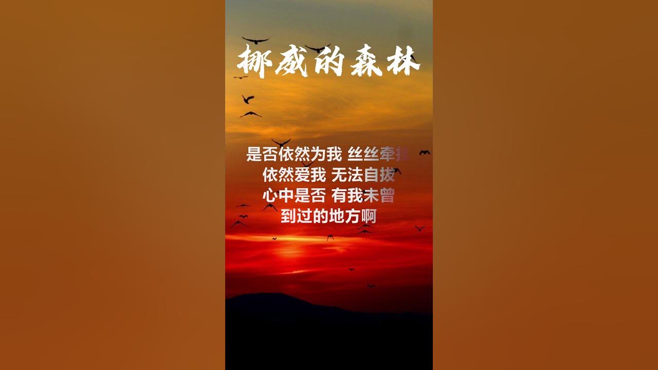 【原唱】 伍佰 - 《挪威的森林》 [歌词]　『或许我　不该问　让你平静的心　再起涟漪』 | Chinese Tracks Lyrics #shorts