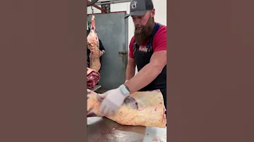 Grassfed Brisket Part 1 Shorts 