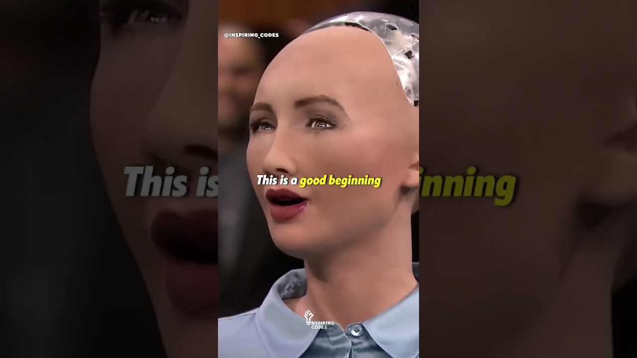 Elon Musk On A I Sophia The Humanoid Robot 