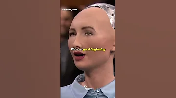 Elon Musk On A I Sophia The Humanoid Robot 