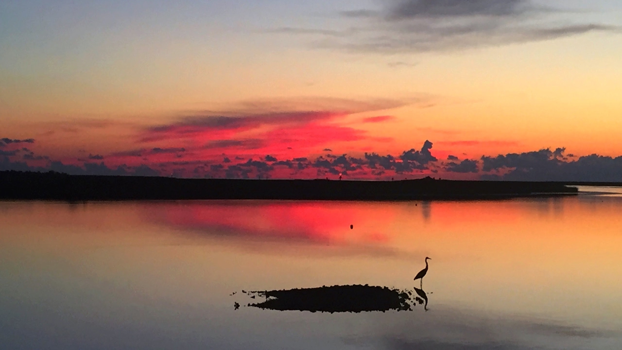 steinhatchee