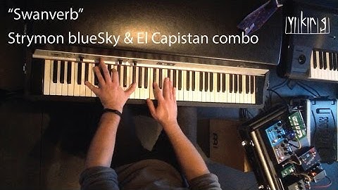 "Swanverb" - Strymon blueSky & El Capistan combo on Fender Rhodes