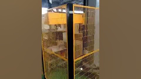 Drop down type case packer，Automatic Drop Packer Machines #cartonboxmachinery