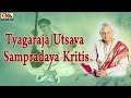 Tyagaraja utsava sampradaya kritis  drnookala chinna satyanarayana  carnatic classical