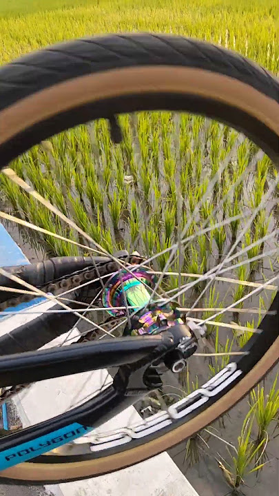 BMX razor biru hadir di sirkuit yusar andalan piringseng