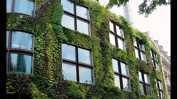 Max Emanuel Cencic "Anche un misero arboscello" (Sellitto)