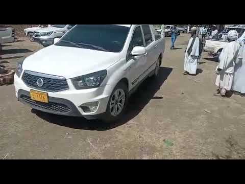 صلح الواليه الكواهله