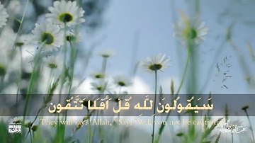 {قُلْ لِمَنِ الْأَرْضُ وَمَنْ فِيهَا إِنْ كُنْتُمْ تَعْلَمُونَ} سورة المؤمنون #عبدالولي_الاركاني