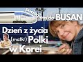 Polka w Korei na wyjeździe - Busan - mój dzień w wielkim nadmorskim mieście - DAILY VLOG