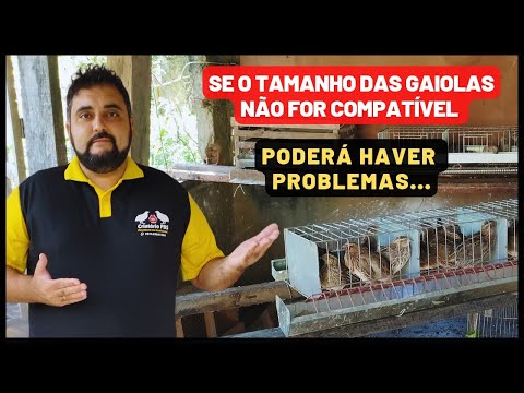 Vídeo: Como fazer gaiolas para codornas com suas próprias mãos?