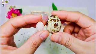 Mini Cooking : Super cute eggs melt
