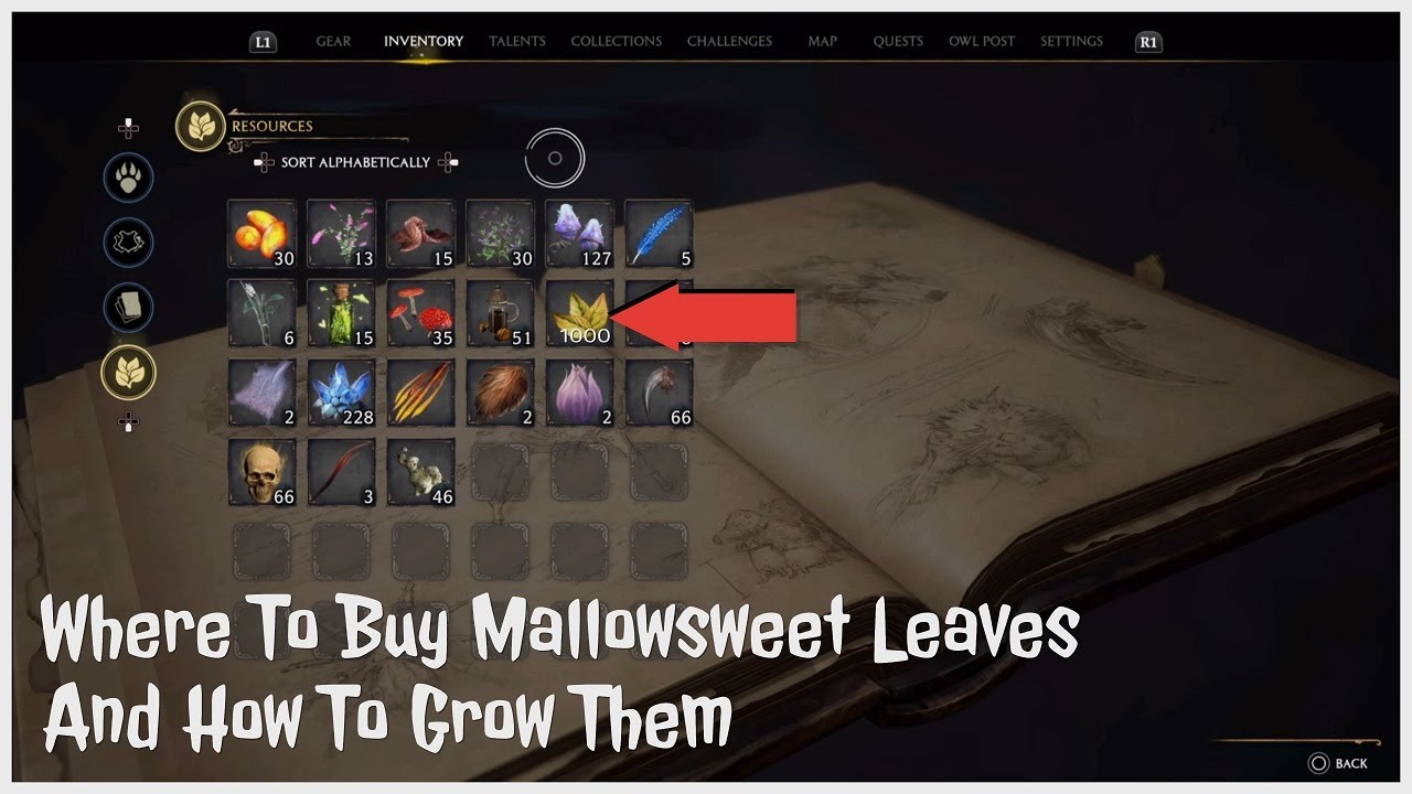 Hogwarts Legacy Where To Buy Mallowsweet Leaves And How To Grow Them