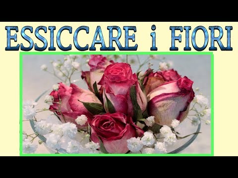 come essiccare i fiori e le piante col silicio, tutorial, fiori secchi