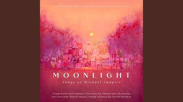 Moonlight (feat. Joey Newcomb)