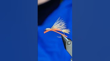 Madam X Fly Pattern!