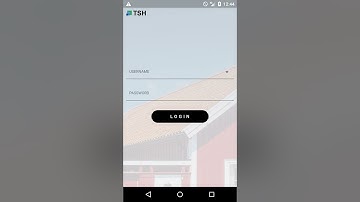 Flutter: Testing the AnimatedBackground Widget