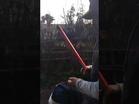 طريق ماسيد وجاو راءيع لصيد سمك معا ريس بنديرا