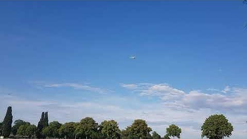 Sea Duck (Conwig L-16)