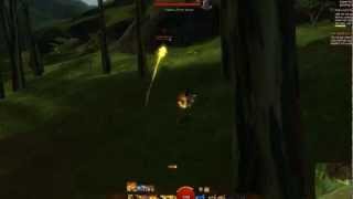 Testing Guild Wars 2 recording on Maxed settings.