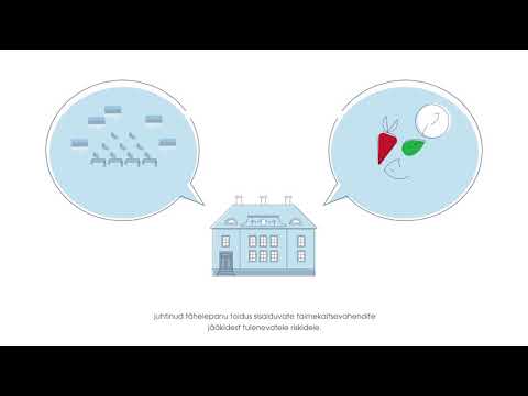 Video: Kuidas Töötada Välja Määrus