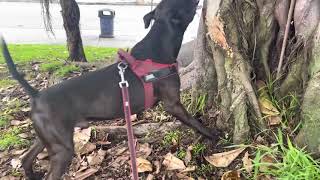 Show Me What That Mouth Do