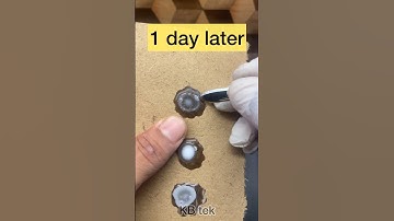 How to unlock any fingerprint sensor by candle and Fevicol!!! #shorts #shortsvideo #shortsvideo